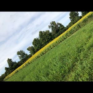 Meet your Posher, Bianca